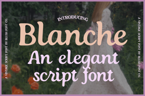 Blanche: The Vintage Script Font for Elegant Branding